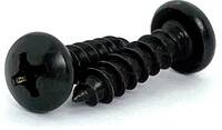 #2 X 1/4 PAN HEAD PHILLIPS SELF-TAPPING SCREW 18-8 STAINLESS BLACK ICE