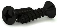 #2 X 1/4 OVAL HEAD PHILLIPS SELF-TAPPING SCREW 18-8 STAINLESS BLACK ICE