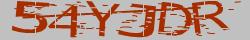 Retype the CAPTCHA code from the image